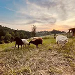 Boutique Glamping Divja Divine بيت للعطل