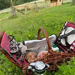 Boutique Glamping Divja Divine