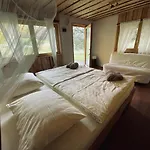 Boutique Glamping Divja Divine * Zgornja Korena