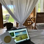 Boutique Glamping Divja Divine