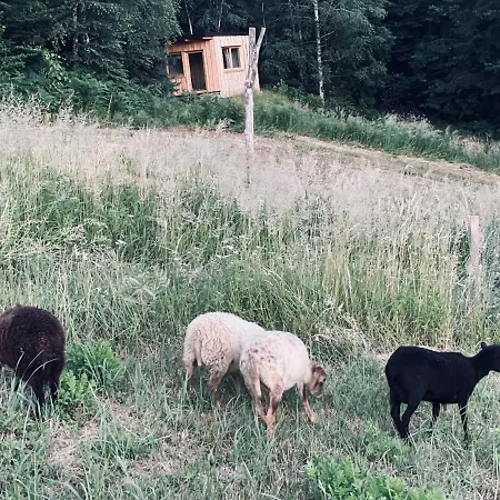 Boutique Glamping Divja Divine Zgornja Korena