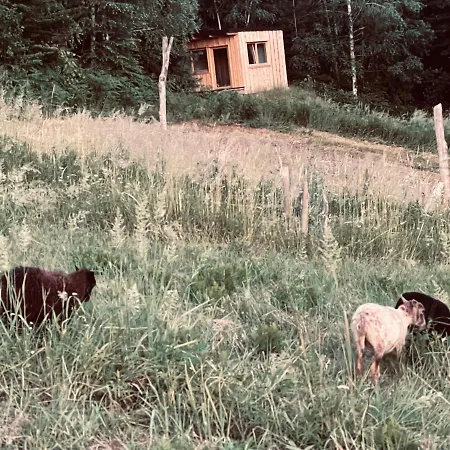 Boutique Glamping Divja Divine Zgornja Korena