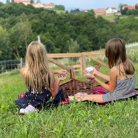 Boutique Glamping Divja Divine 度假居 *