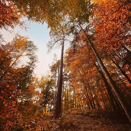 Boutique Glamping Divja Divine Vikendica