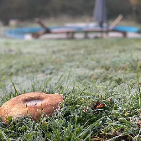 度假居 Boutique Glamping Divja Divine