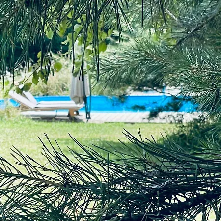 Boutique Glamping Divja Divine * Zgornja Korena