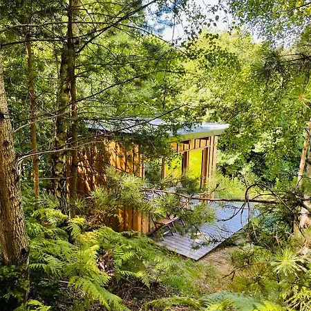 Boutique Glamping Divja Divine