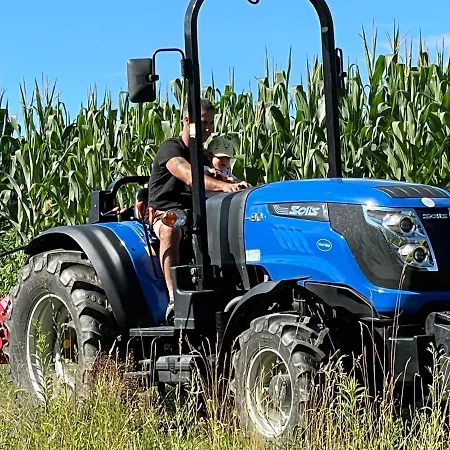 Boutique Glamping Divja Divine 度假居 *