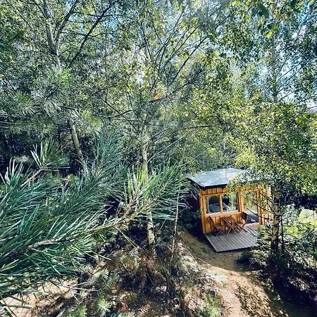 Boutique Glamping Divja Divine Zgornja Korena