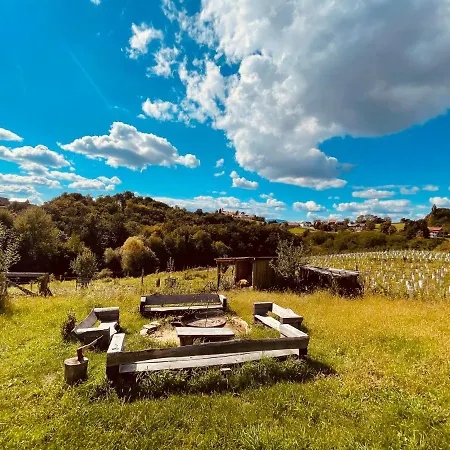 Boutique Glamping Divja Divine *