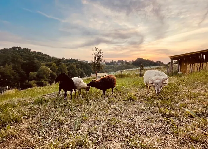 Boutique Glamping Divja Divine Tatil Evi