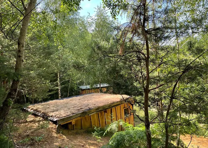 Tatil Evi Boutique Glamping Divja Divine *