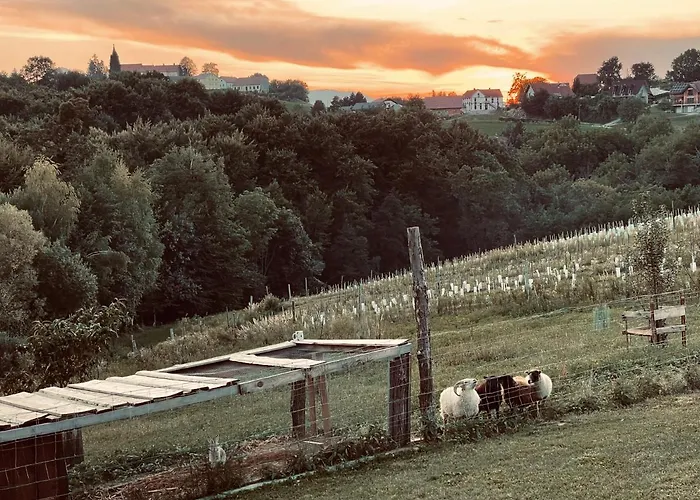 Boutique Glamping Divja Divine Zgornja Korena