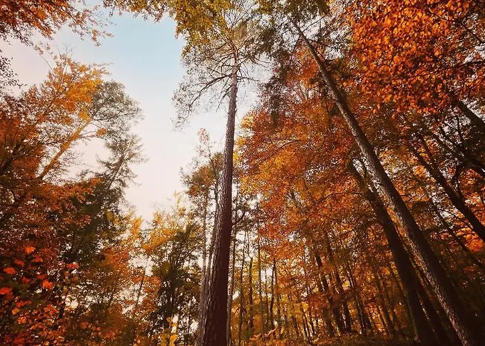 Boutique Glamping Divja Divine Сasa de vacaciones