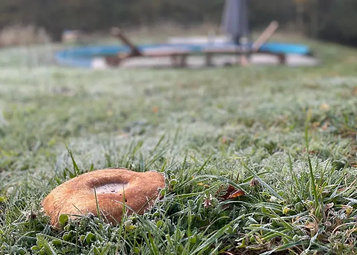 Tatil Evi Boutique Glamping Divja Divine