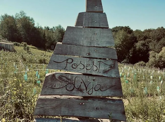 Boutique Glamping Divja Divine * Zgornja Korena